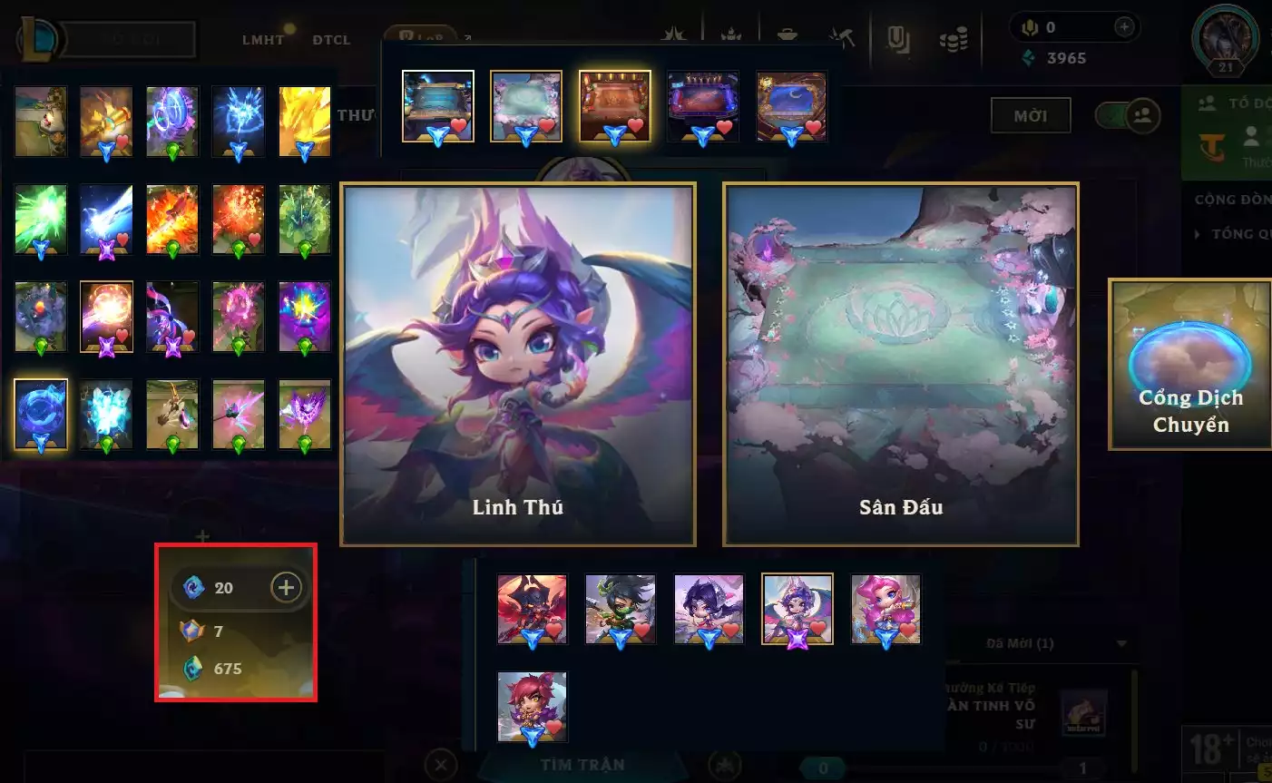 Morgana Khổng Tước Hoàng Hậu - 7 Huy Chương